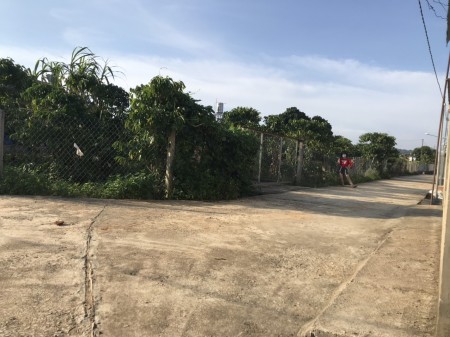 Bán đất Đại Lào Bảo Lộc 2030m2 thổ Cư cách QL 20 chỉ 800m.
