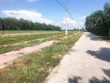 Đất ấp 6 Minh Hưng sát bên Khu công nghiệp. Liên hệ 0948.566.932