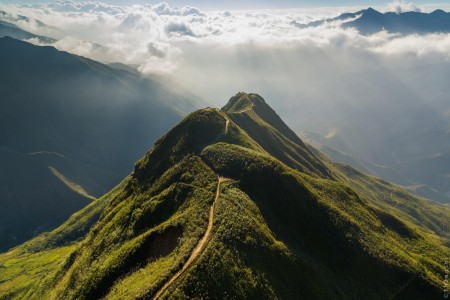 Phương Vũ