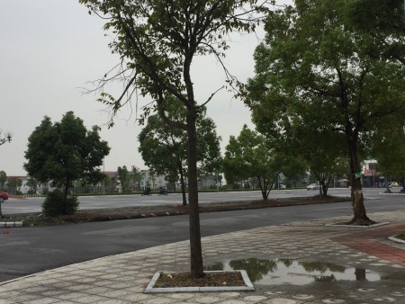 Bán đất gần quốc lộ 38 Thuận Thành BN