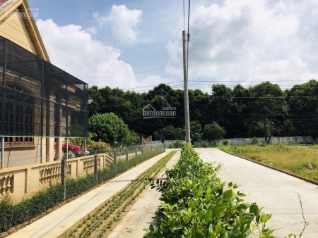 3,39 Tỷ cho lô đất cách biển Hồ Tràm 1,3km. Dân cư, villa, biệt thự hiện hữu trung tâm Hồ Tràm
