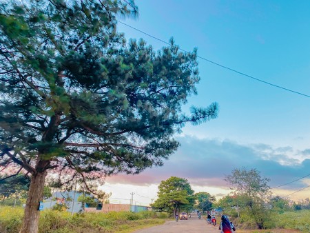 Đi đến slide 9