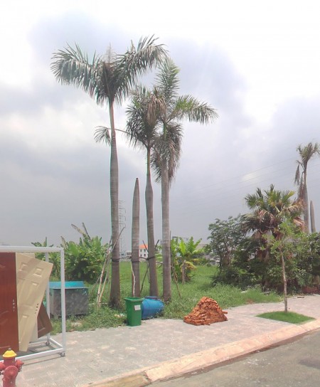 Bán đất MT đường Đặng Thuỳ Trâm, Bình Thạnh. SHR sang tên ngay, DT 90m2 giá chỉ 2.3tỷ / nền
