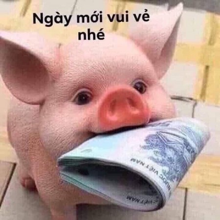 Bán đất mặt tiền đẹp Thị Trấn Hồ Thuận Thành Bắc Ninh