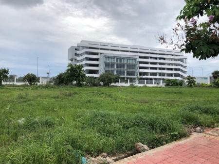 Trần tuấn đạt