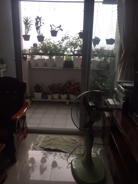 Bán gấp chung cư Kim tâm Hải Quận 12 78m 2PN 2WC Nhà thoáng mát bancon phòng khách