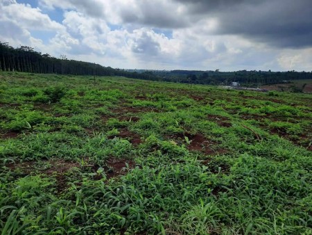 8,8ha huyện châu đức, xã Quảng thành. Nước suối quanh năm trong đất. Chỉ 284 triệu/1000m2 LH: 0907016378