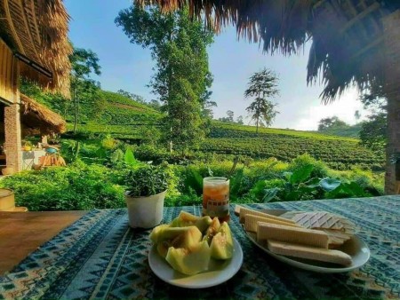 Đất nền du lịch sinh thái Gia Lai đang nóng sốt từng ngày - tại sao