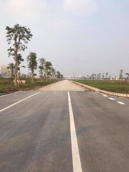 Cần bán gấp lô 91m2 khu A dự án V - Green City Phố Nối Hưng Yên