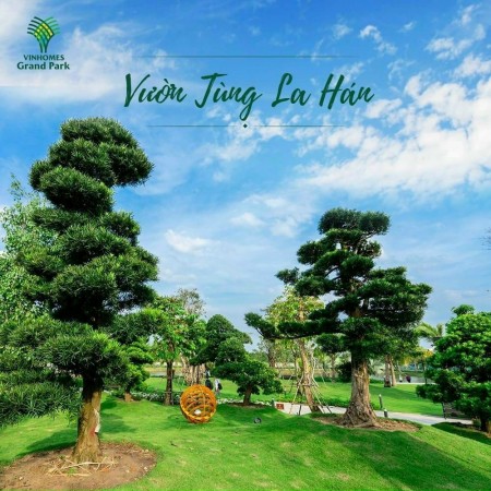 Vốn ban đầu 15% sở hữu tầm nhìn Vingroup cho 10 năm sau chỉ 247tr
