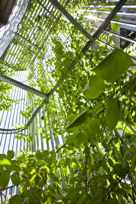 BIỆT THỰ XANH – THANG MÁY – TRẦN QUỐC TUẤN P1 GÒ VẤP - CHỈ 14.5 TỶ.