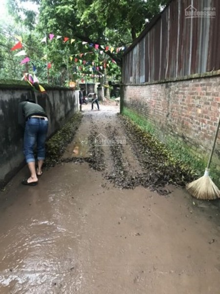 Chính chủ bán nhanh trong tết mảnh ở Hành Lạc – 119m2 - GIÁ RẺ NHẤT THỊ TRƯỜNG: lh 0835459289