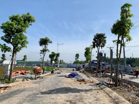 Đất nền Bình Chánh Giá rẻ giá 30tr/m2