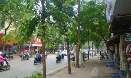 Bán nhà mặt phố Thái Thịnh, Hiếm, 500m2, KD vô địch, hiệu suất cho thuê cao, 125 tỷ. lh: 0969143618