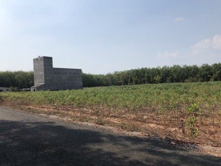 Đất sào 1000m2 giá 380 triệu thích hợp xây dựng nhà nuôi yến