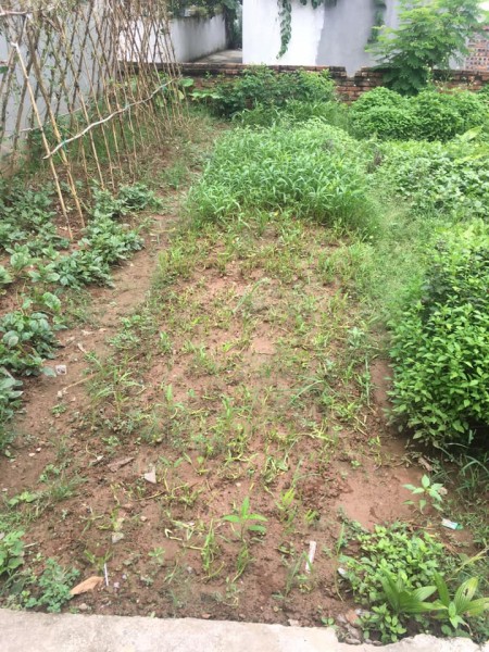 Chủ nhà cần tiền nên cần bán nhanh mảnh đất cực đẹp tại Đông Dư, Gia Lâm đường oto