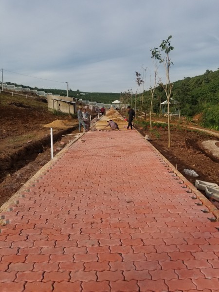 Đi đến slide 6