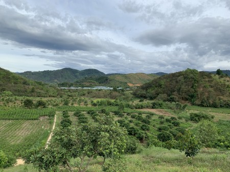 Cơ hội đầu tư sinh lời cần bán gấp 1,3Ha Đất trồng cây tại Đạ Kho, Đạ Tẻ Lâm Đồng