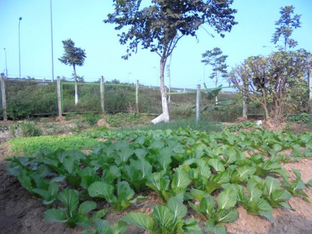 Đi đến slide 3