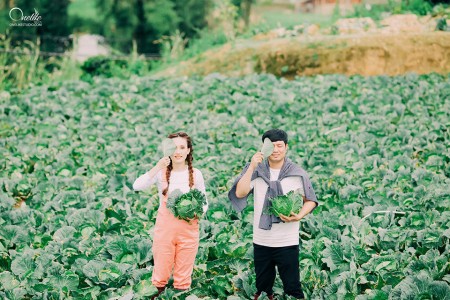 Đơn giản chỉ 20 triệu sở hữu ngay 700m2 farmstay, view sông Đại Nga