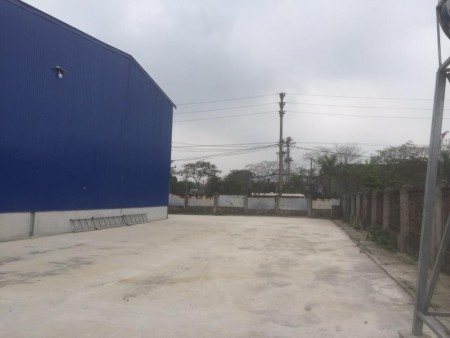 Bán 2,3ha đất nhà xưởng QL5 Bình Giang, Hải Dương. Đất trả tiền 1 lần