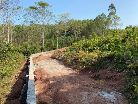 Đi đến slide 4