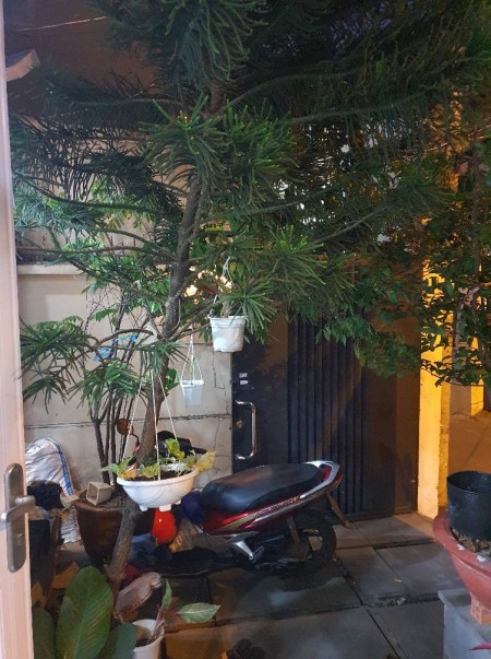 Bán nhà 4 Lầu HXH Nguyễn Văn Đậu, 86m2, Giá 8 TỶ.