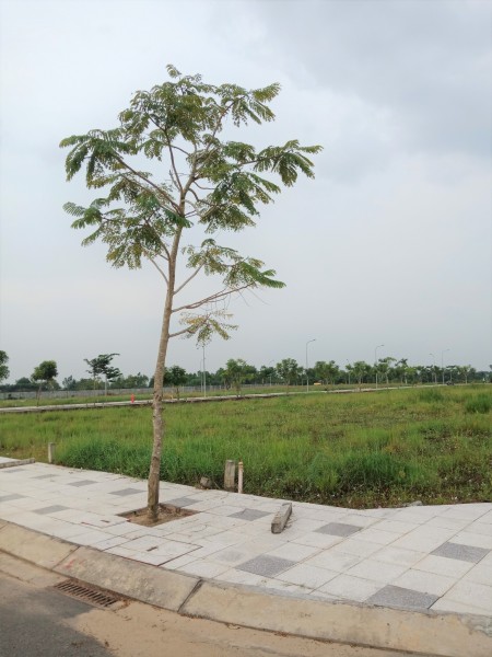 Bán Đất Thích Hợp Xây Nhà Ở. Hoặc Đầu Tư Siêu Lợi Nhuận