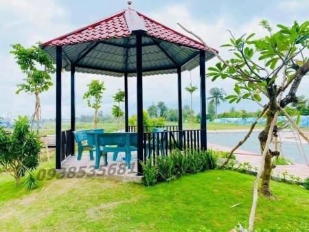 10 SUẤT NỘI BỘ CHỦ ĐẦU TƯ - ĐẤT NỀN LONG AN GIÁ RẺ
