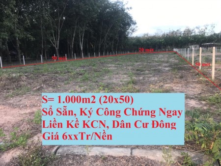 Bán lô đất 1000m2 ngay khu dân cư đại nam giá cực rẻ