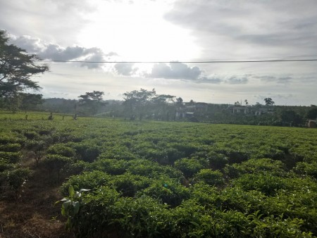 Đi đến slide 4