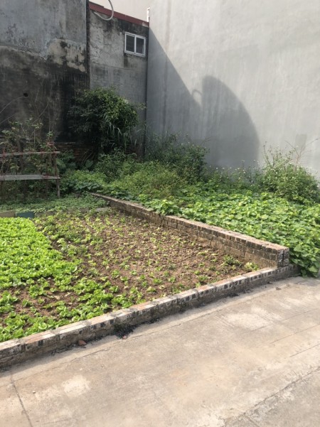 Bán đất An Đào Trâu Quỳ Gia Lâm, đường oto nhỏ, giá chỉ 1.4 tỷ bao phí