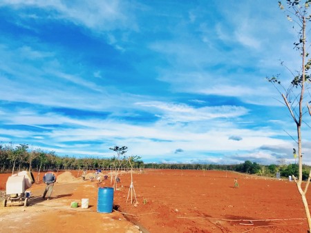 Đất nền Biệt Thự bên hồ sinh thái - KDC Ia Ring