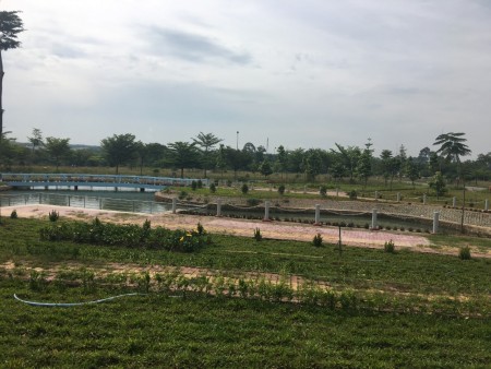 Đi đến slide 5