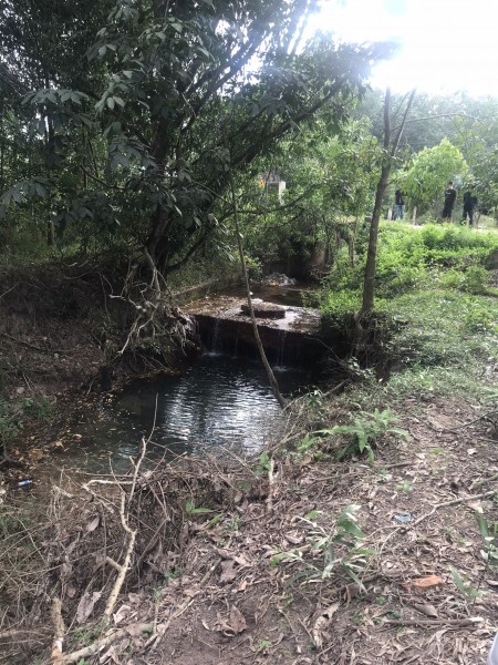Đi đến slide 5
