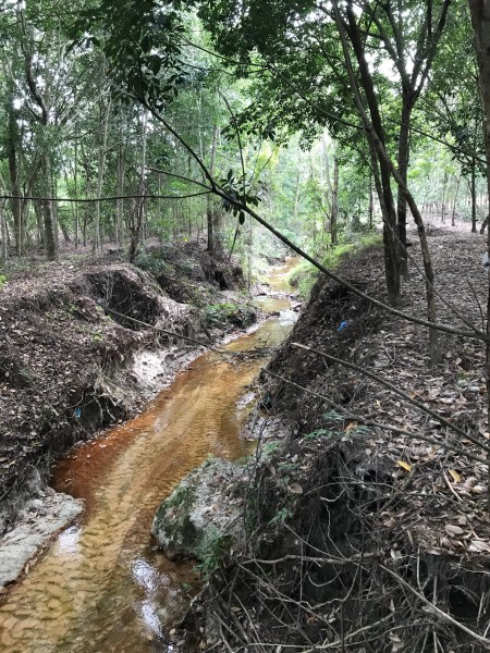 Đi đến slide 6