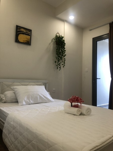 Cho thuê gấp căn hộ cao cấp Diamond Lotus Riverside,49C Lê Quang Kim, Quận 8, TP. HCM. diện tích 64m2,2 phòng,Full nội thất cao cấp