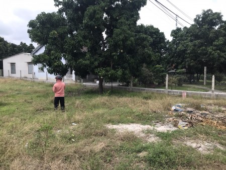 Đất nền thôn Tân Phú xã Cam Thành Bắc Cam Lâm Khánh Hòa