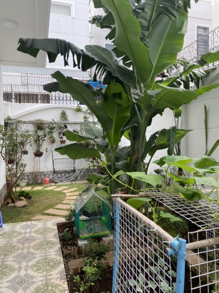 Đi đến slide 6