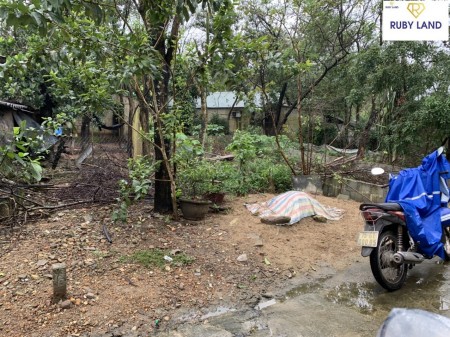 Đất Đẹp Phùng Lưu – Mua Ngay Kẻo Lỡ
