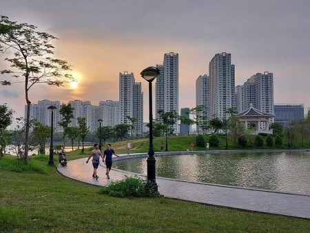 Đi đến slide 11