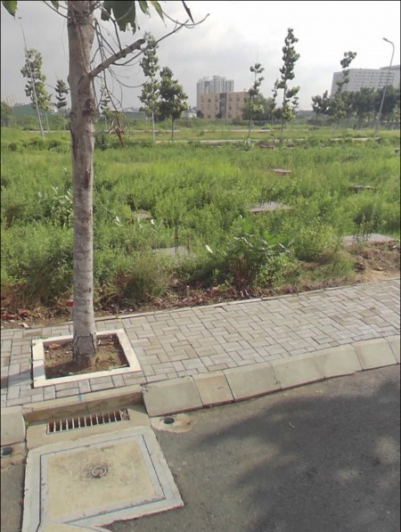 Đi đến slide 5