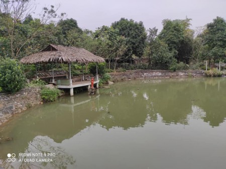 BÁN 6HA ĐẤT YÊN BÌNH THẠCH THẤT GIÁ 85 TỶ