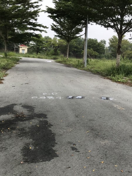 Đi đến slide 11