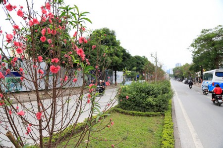 Đất Phường Nhật Tân, Gần Mặt Phố Lạc Long Quân 45m2, Mặt Tiền 6m, 5 tỷ7.