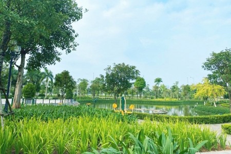 Đi đến slide 12
