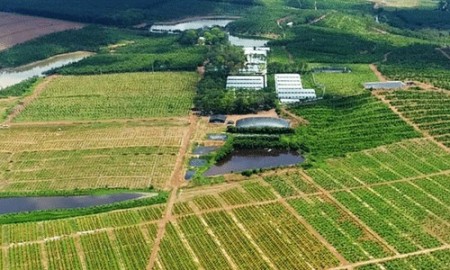 Sang nhượng gấp trang trại ở Nam Định