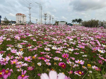 BÁN ĐẤT DỰ ÁN HẢI YÊN VILLAS TP MÓNG CÁI