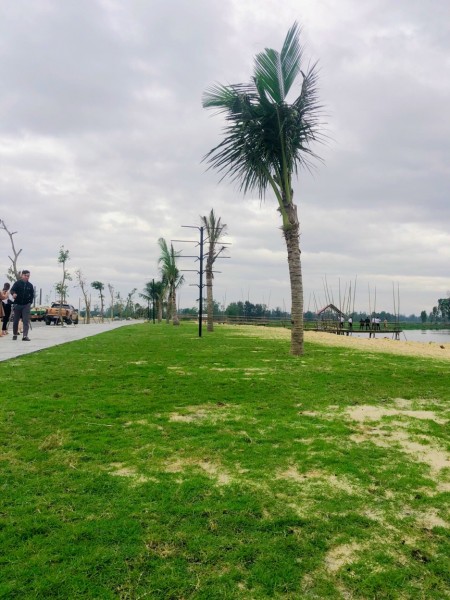 Đi đến slide 2