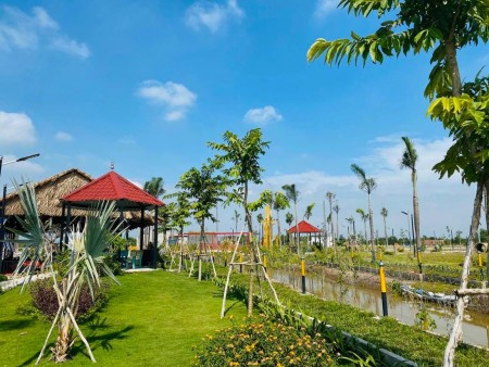 Đi đến slide 5